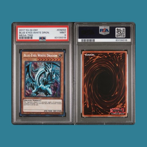 Blue eyes white - yu-gi-oh!, blue-eyes