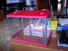 Acquario dimensioni 35 x40 x 25 (solo ritiro in zona: Roma)