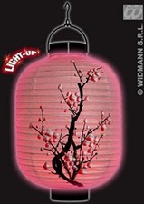 WIDMANN 2462A lanterna