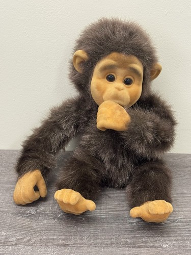 Hosung little monkey - hosung,