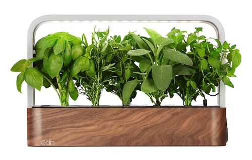 Edn smallgarden con baccelli - smallgarden,