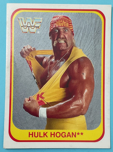 Wwf wwe merlin 1991 - wwe, hulk