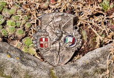 DISTINTIVO AUTO RADIATORE