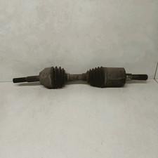 K52111781AB Semialbero ant