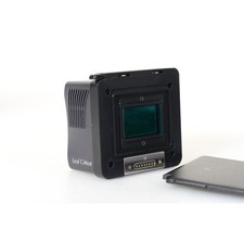 Leaf Digital posteriore C-Most