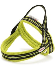 Pettorina Dolomiti modello