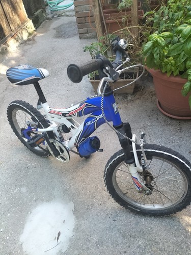 Record bicicletta per - record,