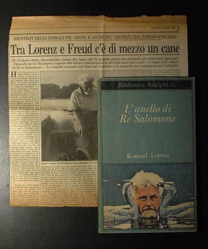 Anello salomone - di, re