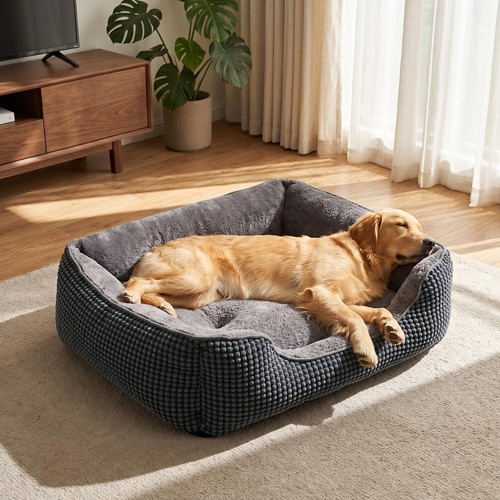 Furtime cuccia cane interno - cuccia,