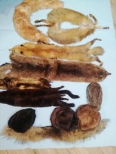 Lotto Cappelli Pellicce Stole Intere Volpe Marmotta Visone Ecc...vintage