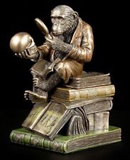 Scimmia con teschio - Darwinismo Teoria dell'evoluzione - Darwin teschio 