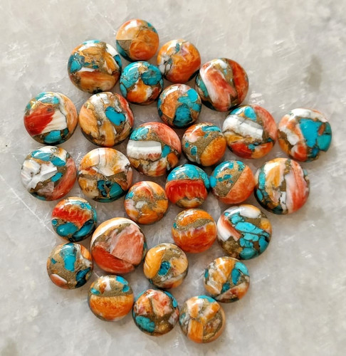 Ostrica rame turchese - aa++,