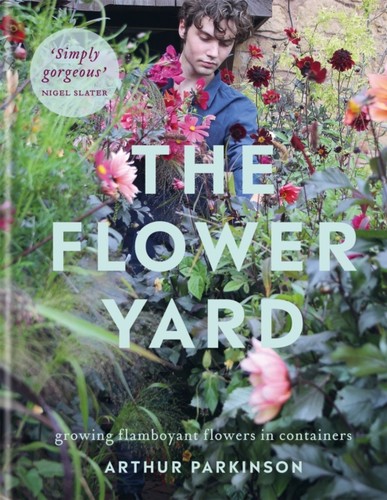Flower yard arthur - flower,