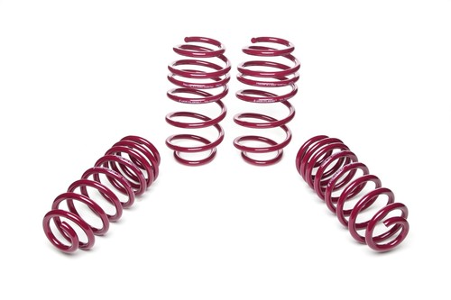 Vogtland springs per renault - per,