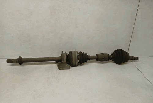 55180302 semialbero ant - semialbero,
