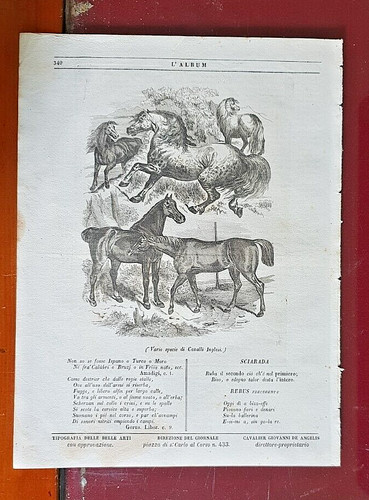 Stampa epoca rivista - stampa, da