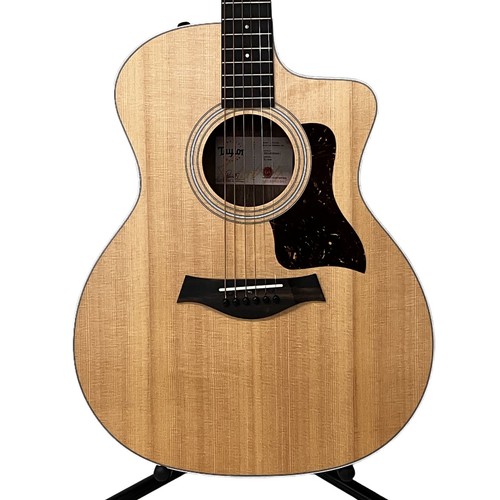 Chitarra acustica elettrica