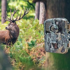 Telecamera Da Caccia IP65