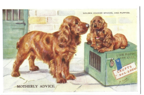Printed postcard golden - a,