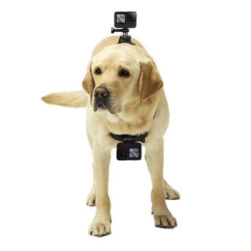 Gilet regolabile per cani - regolabile, con