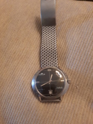 Fortis skylark - fortis,