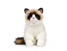 Peluche gatto Ragdoll