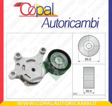 Tendicinghia, Cinghia Poly-V