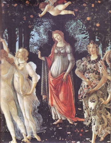 Primavera sandro - la,