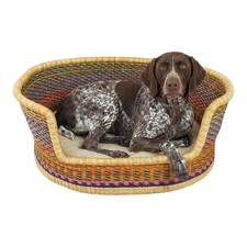 Cuccia per Cani Multicolore -
