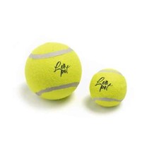 Gioco cane palla da tennis