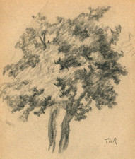 Disegno a matita albero