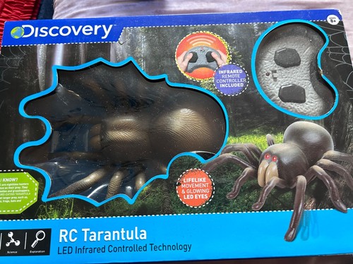 Discovery tarantola - rc,