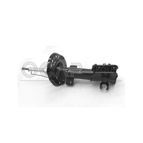 Ammortizzatore anteriore sx - anteriore, dx