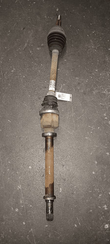 Semialbero ant compl - dx., ant.