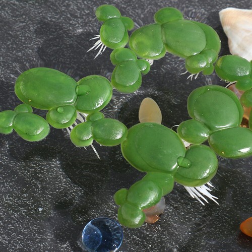 Pezzi piante acquatiche - 90,