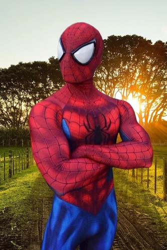 Spiderman costume deluxe - 3d,