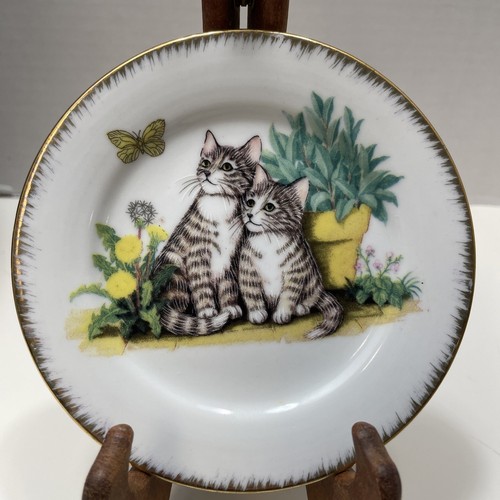 Piatto portagioie gattino