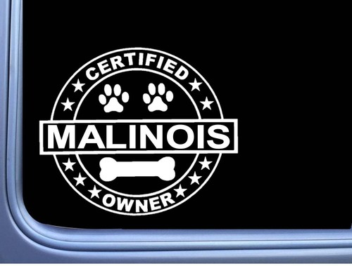 Adesivo cane certificato belga