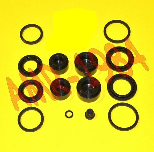 Kit revisione pinza - revisione,