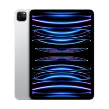 Apple iPad Pro 11" 4. Gen