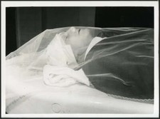 Foto vintage Salma Luigi Tenco 1967 Ft 35657 - Stampa 24x18 cm