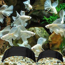 2 Grotte Sotterranee per