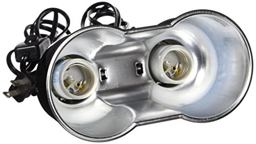 Zoomed nano combo dome - combo,