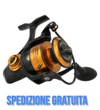 Mulinello da Pesca Penn