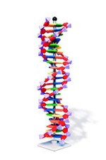 Modello a doppia elica di DNA