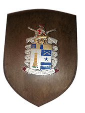 Crest 6° Reggimento Difesa NBC vintage 19x14 cm