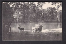 Ceylon RATHAPURA Padda Boats