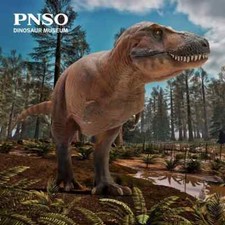 Pnso 2023 cameron - 2023,