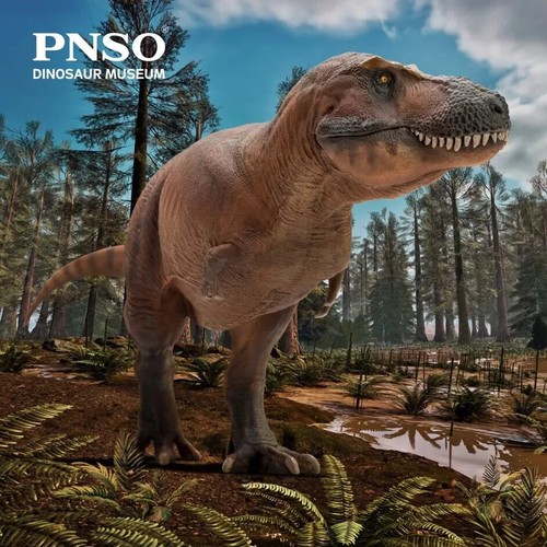 Pnso 2023 cameron - pnso,