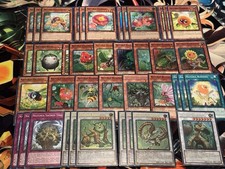 Naturia Stun Deck Nucleo 🔥